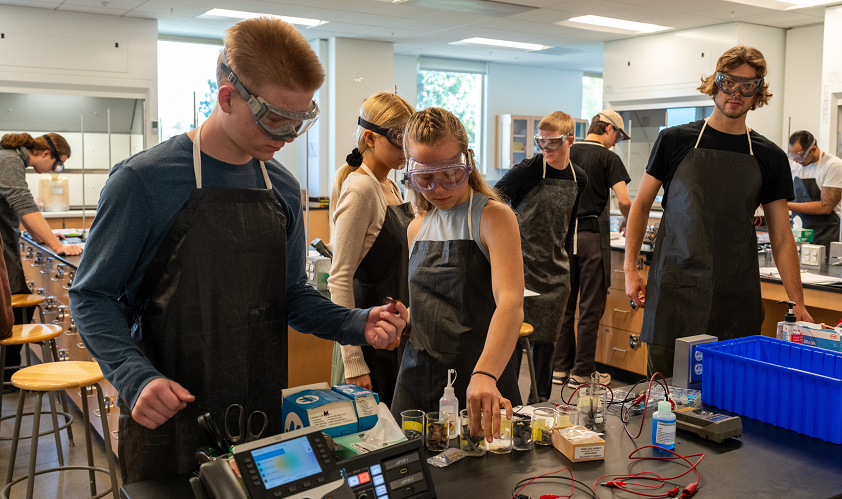 lab